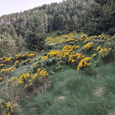 Randonnees Et Sejour Nature Dans Les Pyrenees * Nohèdes